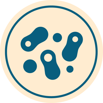 lactobacillus acidophilus