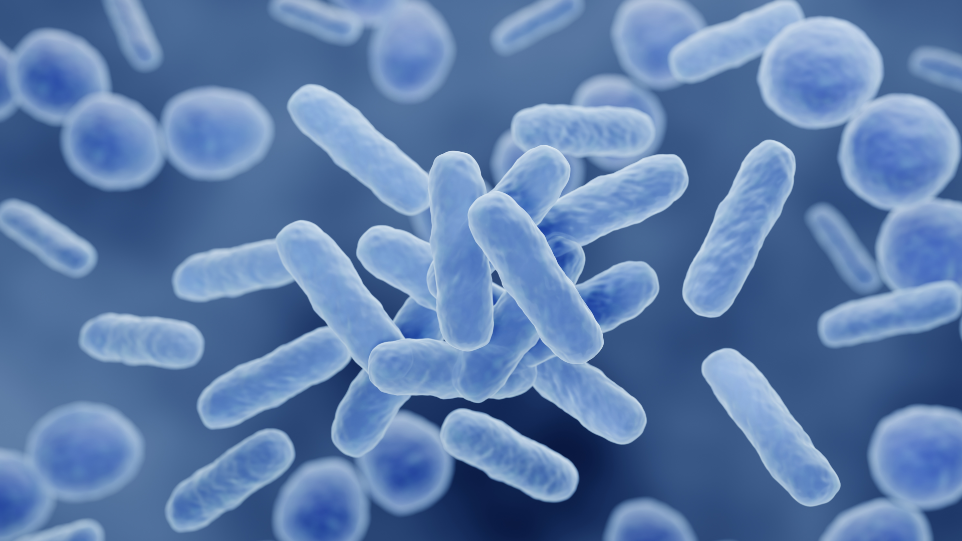 Do Probiotics Boost Your Immune Function?