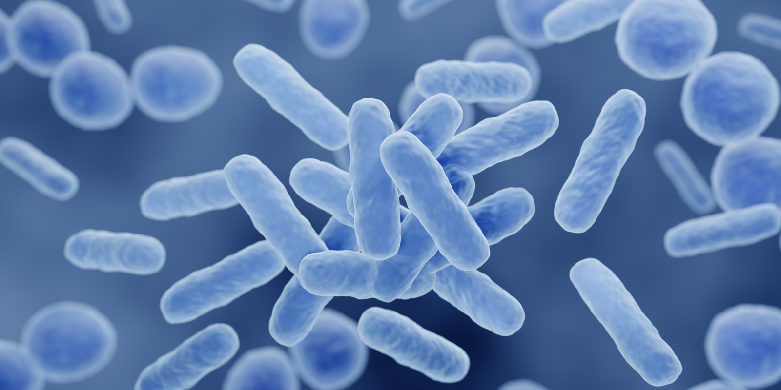 Do Probiotics Boost Your Immune Function?